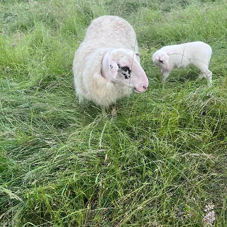 아파트 Niederrhein Kaue *