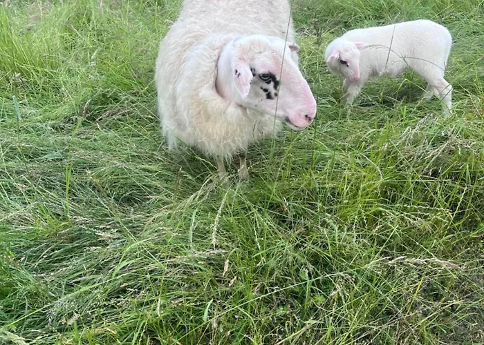 Appartement Niederrhein Kaue *